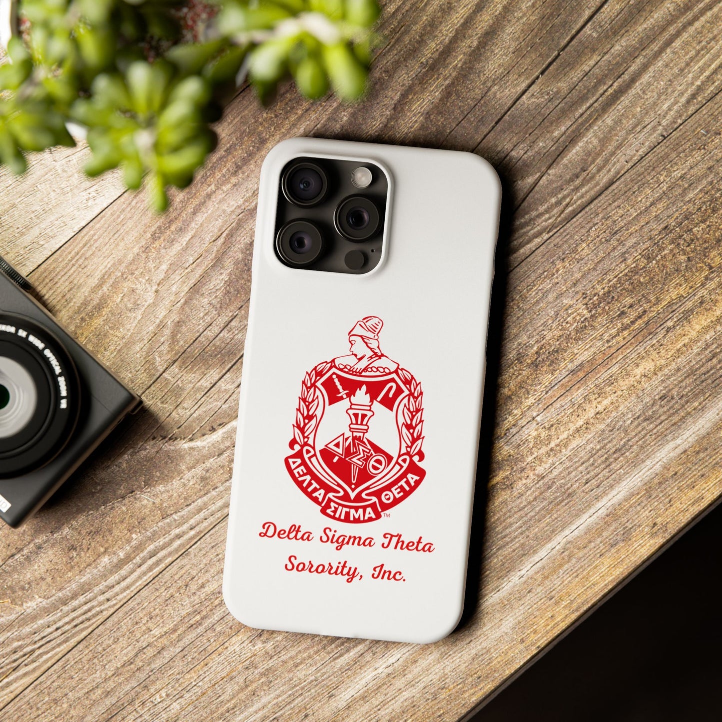Delta Sigma Theta Sorority iPhone Cases (15, 15 Pro, 15 Plus, 15 Pro Max)