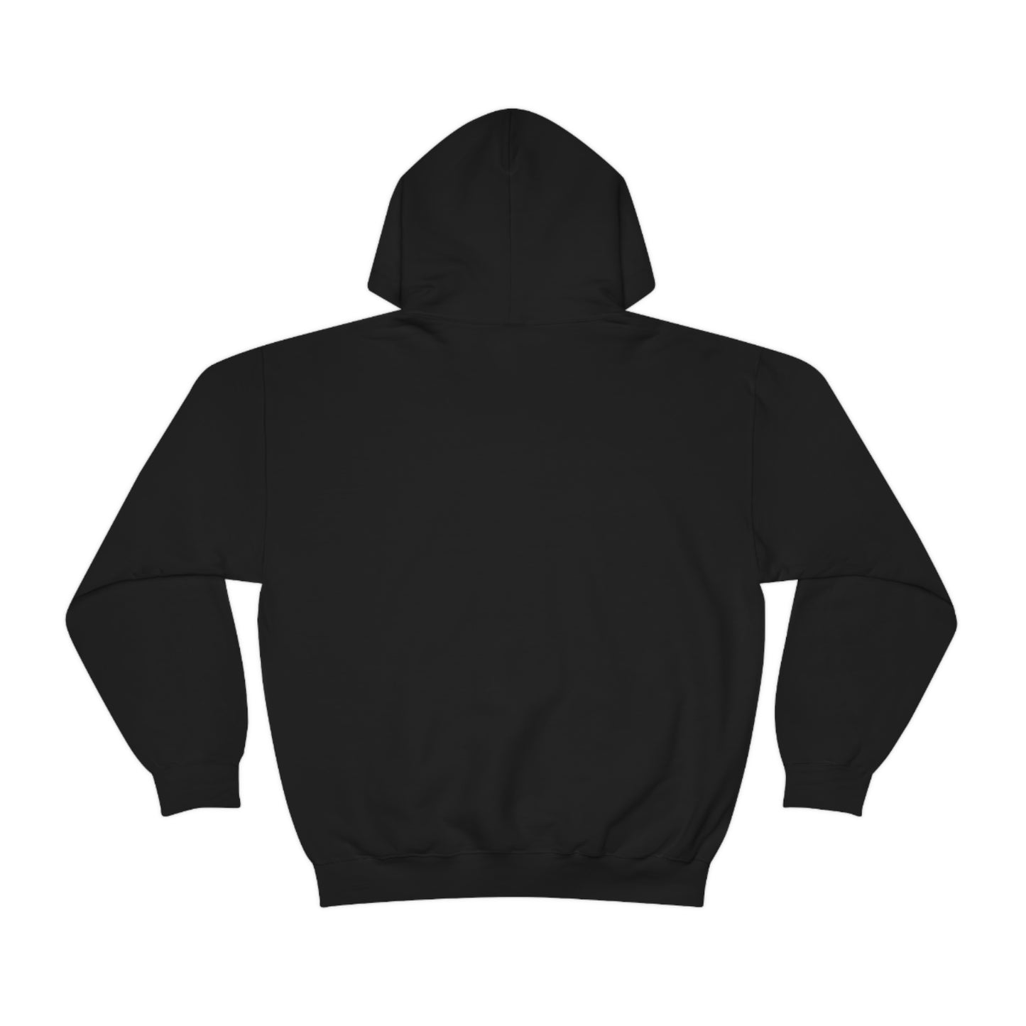 DST Hooded Sweatshirt (Black)